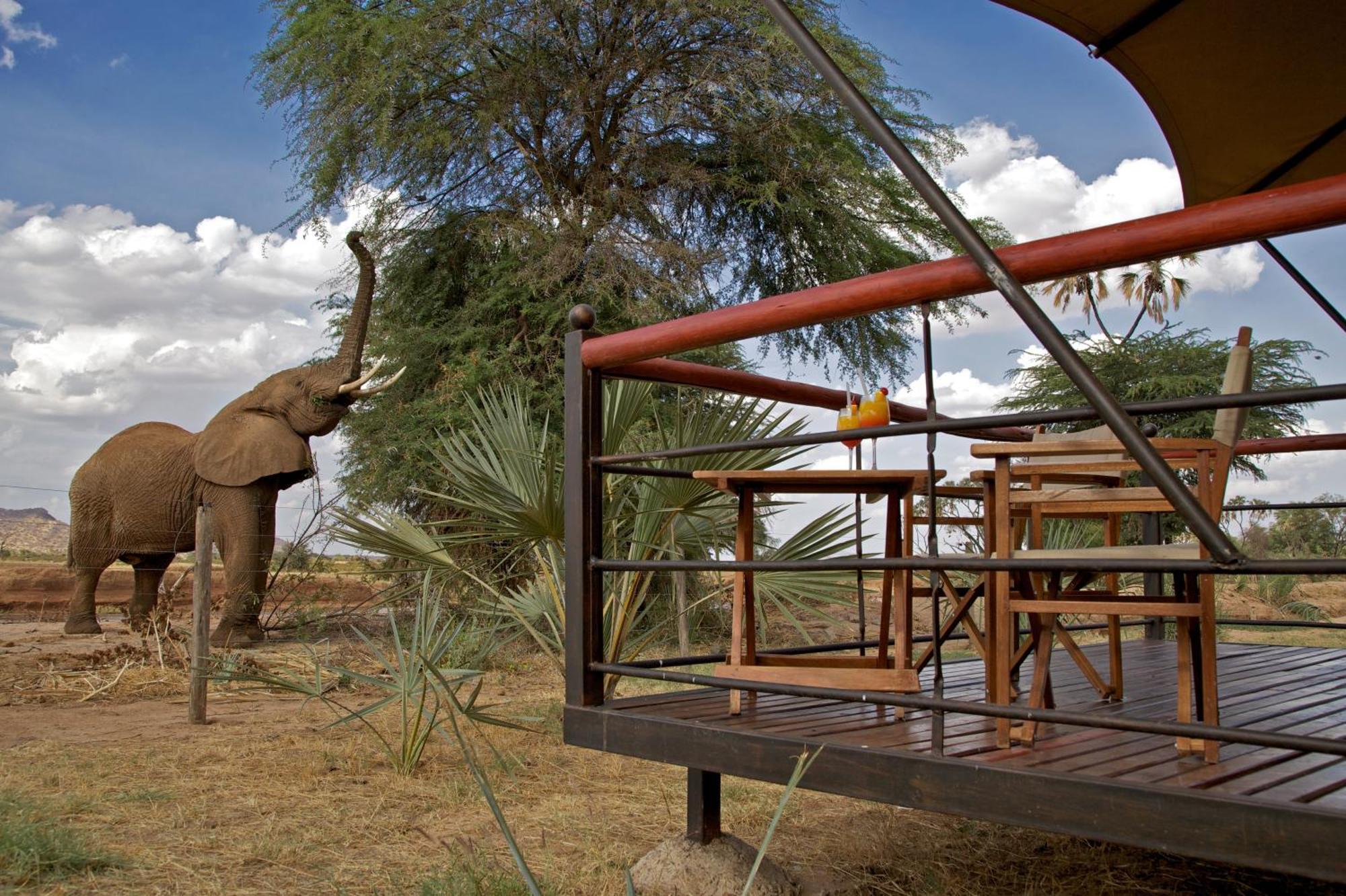 Villa Ashnil Samburu Camp Archers Post Exterior foto