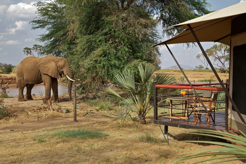 Villa Ashnil Samburu Camp Archers Post Exterior foto